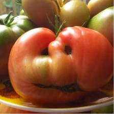 tomato